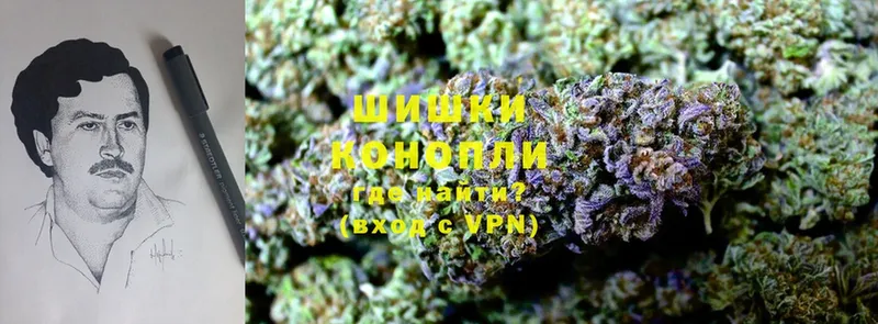 магазин    Струнино  Конопля OG Kush 